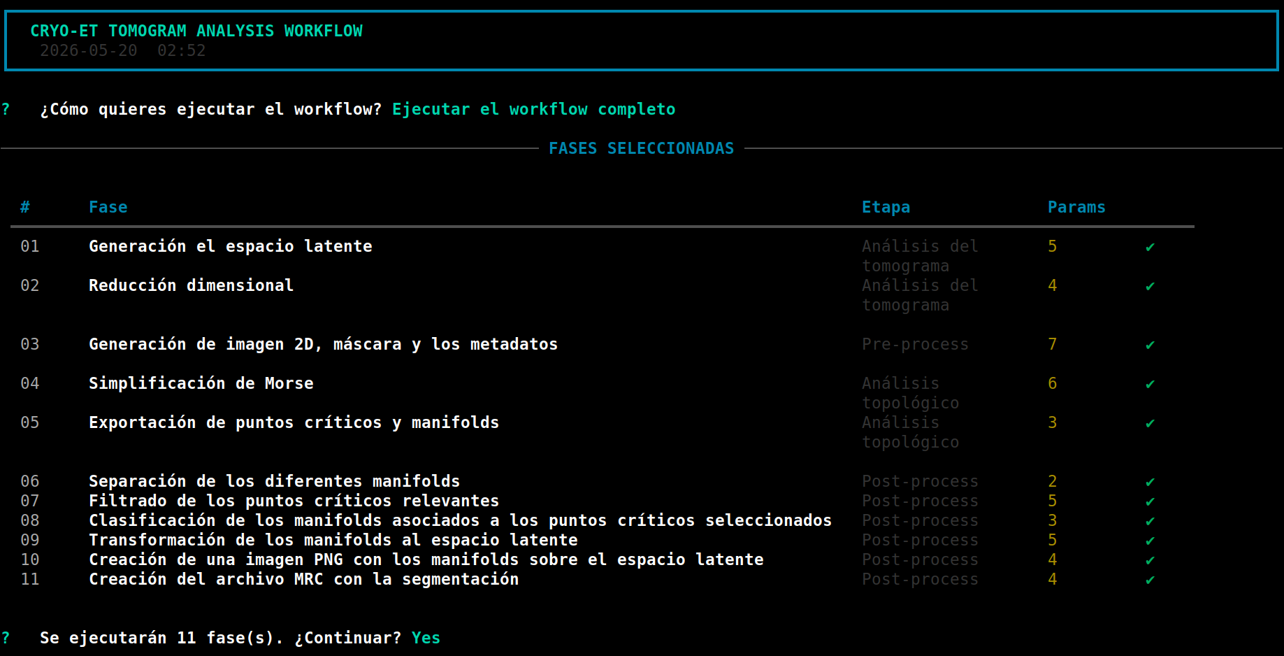 Resumen de todas las etapas del workflow en Auto-CryoET